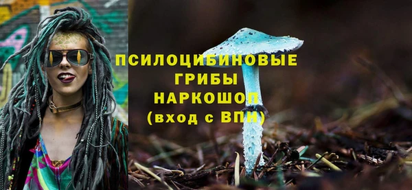 a pvp Алексеевка