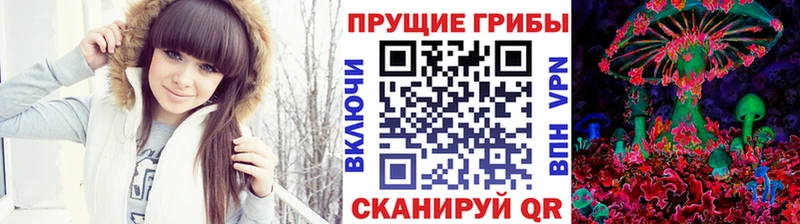 Псилоцибиновые грибы прущие грибы  Тавда 