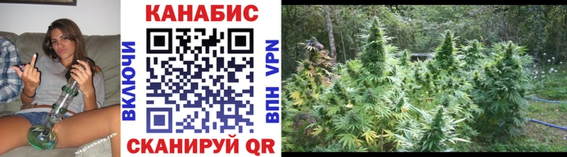 магазин Тавда Каннабис VHQ